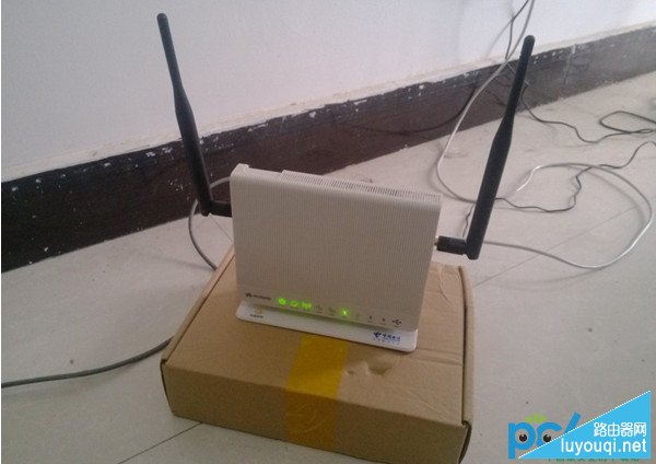 ·��������������è��������������ʲô