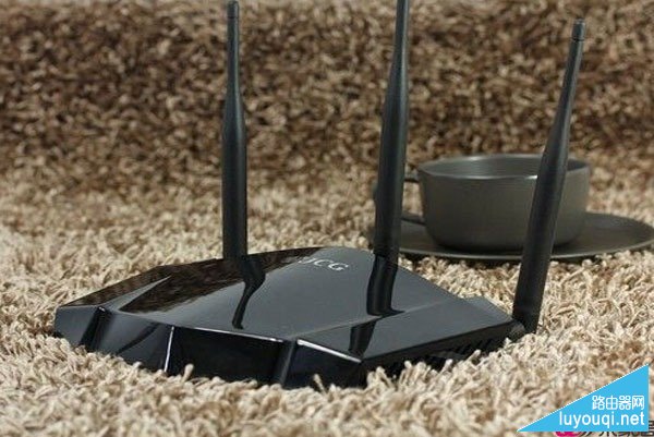 һ��è������·������ô����(ͼ��)