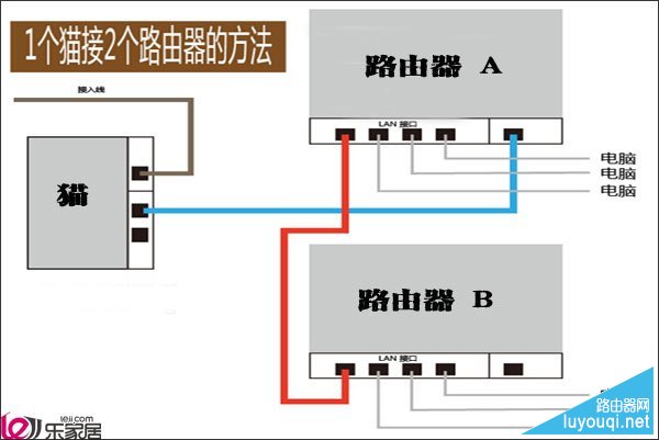 һ��è������·������ô����(ͼ��)