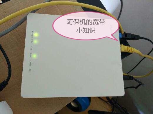 ������˵�Ĺ�è������ʲô��