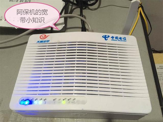 ������˵�Ĺ�è������ʲô��