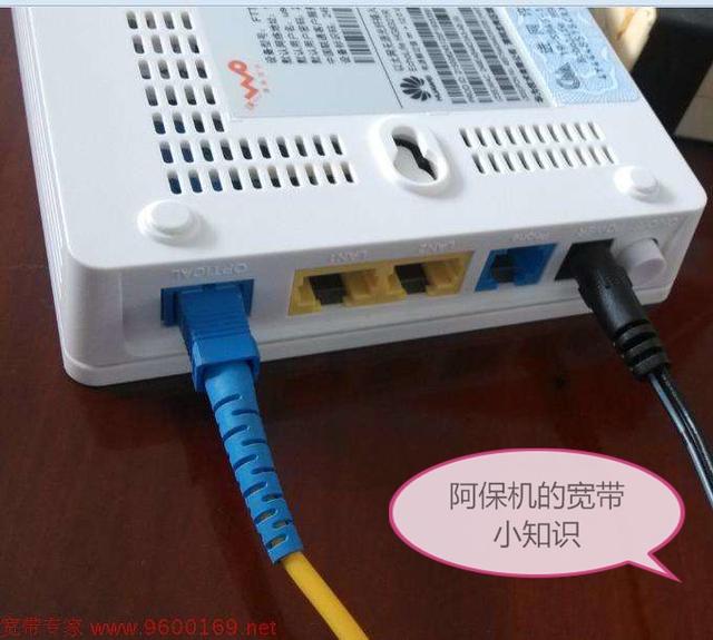 ������˵�Ĺ�è������ʲô��