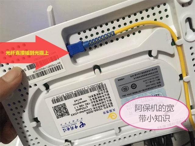 ������˵�Ĺ�è������ʲô��