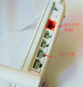 ���˵���è��·�������ӷ���