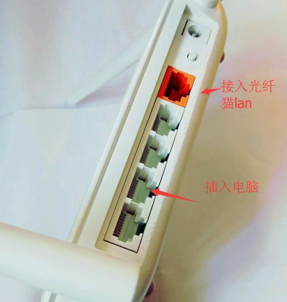 ���˵���è��·�������ӷ���