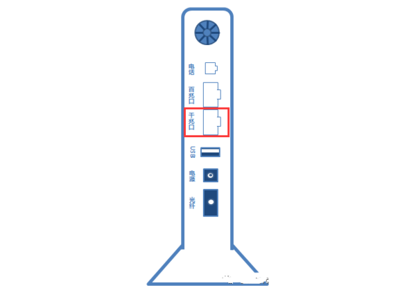 ·����������è����