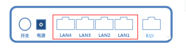 ·����������è����