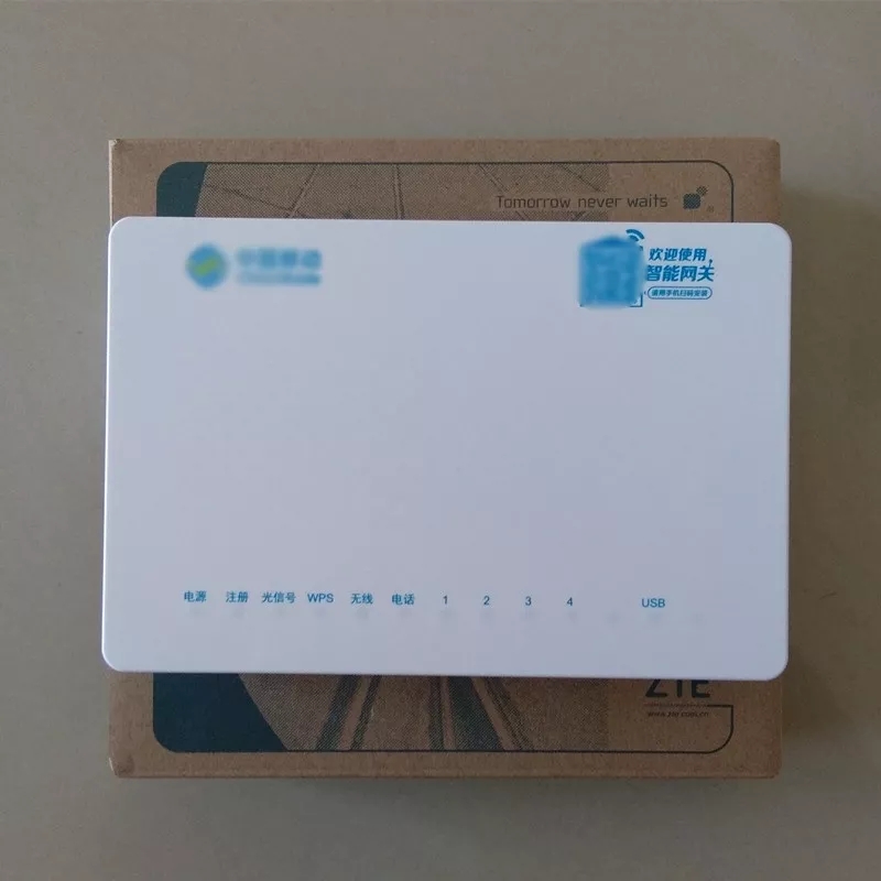 ����·�����͹�è��ʲô����