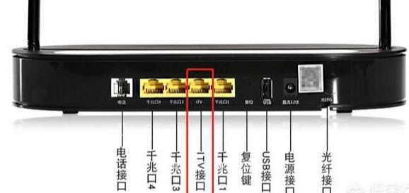 ����è�ֻ�������ֱ����Ӱ������������