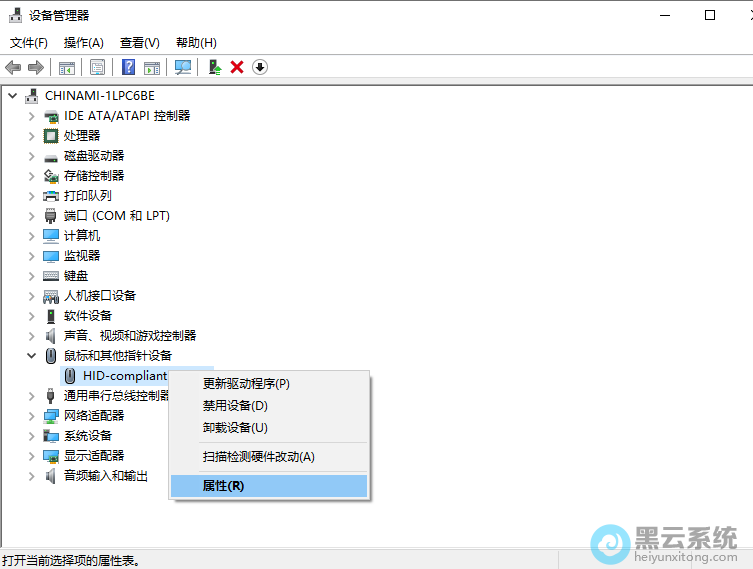 ѡ������