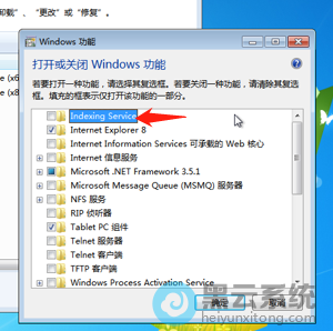 ȡ����ѡindexing service