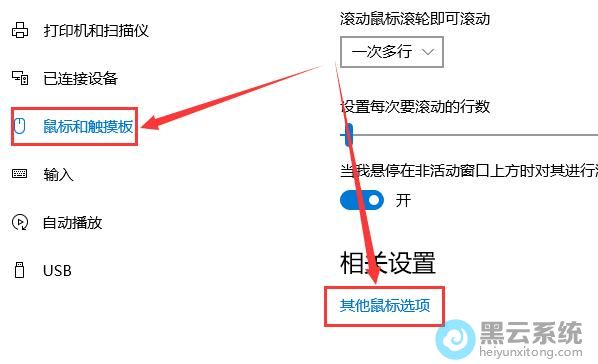 ����������ѡ��