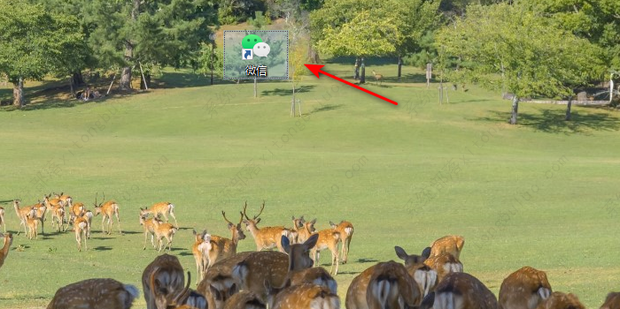 电脑微信截图快捷键不能用了怎么办?(3种方法)