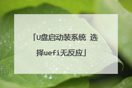 U������װϵͳ ѡ��uefi�޷�Ӧ