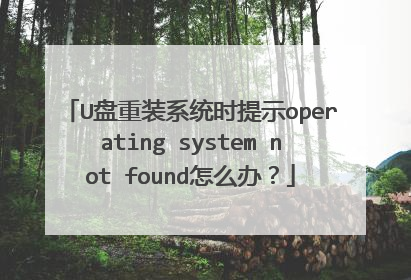 U����װϵͳʱ��ʾoperating system not found��ô�죿