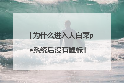 Ϊʲô�����ײ�peϵͳ��û�����