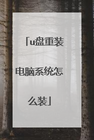 u����װ����ϵͳ��ôװ