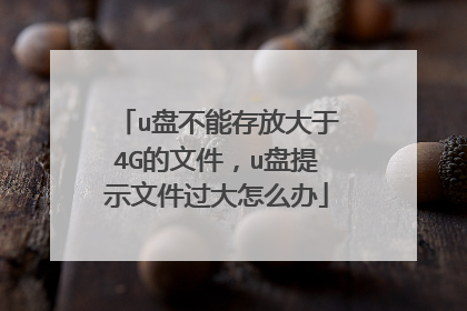 u�̲��ܴ�Ŵ���4G���ļ���u����ʾ�ļ�������ô��