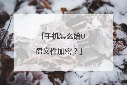 �ֻ���ô��U���ļ����ܣ�