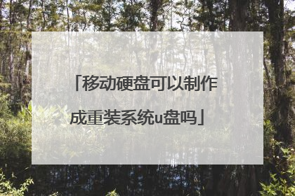 �ƶ�Ӳ�̿�����������װϵͳu����