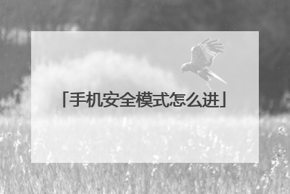 �ֻ���ȫģʽ��ô��