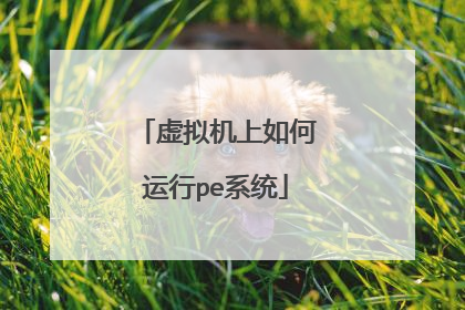 ��������������peϵͳ