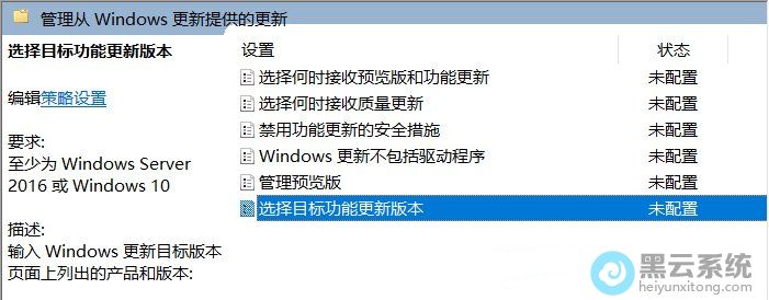 打开选择目标功能更新版本