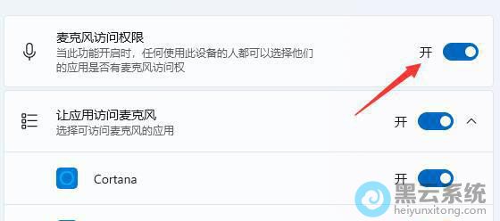 开启麦克风访问权限