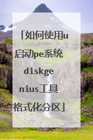 ���ʹ��u����peϵͳdiskgenius���߸�ʽ������