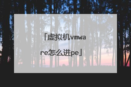 �����vmware��ô��pe