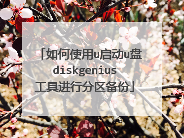 ���ʹ��u����u��diskgenius���߽��з�������