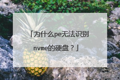 Ϊʲôpe�޷�ʶ��nvme��Ӳ�̣�