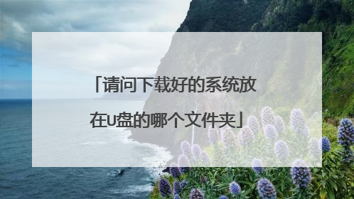 �������غõ�ϵͳ����U�̵��ĸ��ļ���