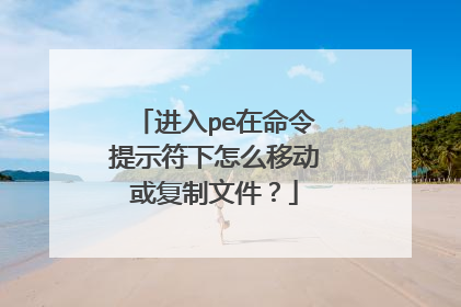 ����pe��������ʾ������ô�ƶ������ļ���