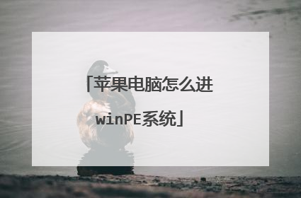 ƻ��������ô��winPEϵͳ