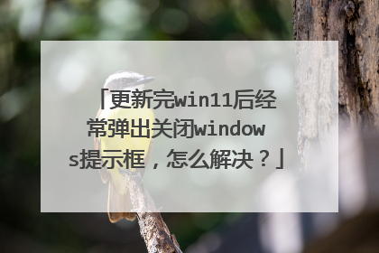������win11�󾭳������ر�windows��ʾ����ô�����