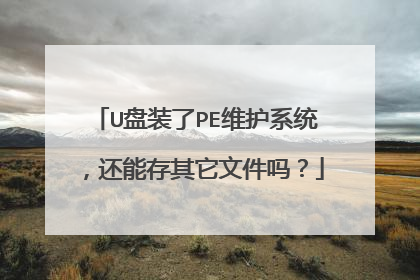 U��װ��PEά��ϵͳ�����ܴ������ļ���