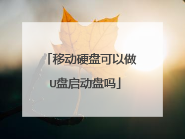 �ƶ�Ӳ�̿�����U����������