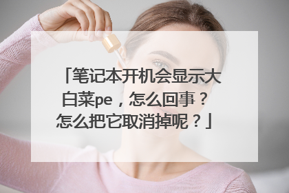 �ʼǱ���������ʾ��ײ�pe����ô���£���ô����ȡ�����أ�