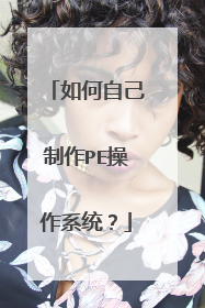 ����Լ�����PE����ϵͳ��