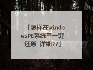 ������windowsPEϵͳ��һ����ԭ ��ϸ??