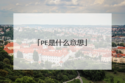 PE��ʲô��˼