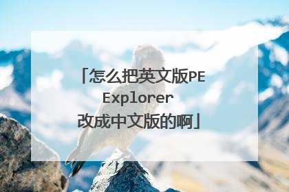 ��ô��Ӣ�İ�PE Explorer �ĳ����İ�İ�