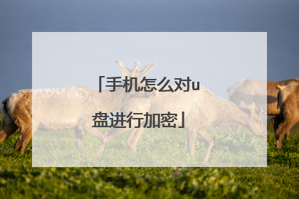 �ֻ���ô��u�̽��м���