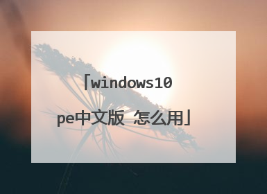 windows10 pe���İ� ��ô��