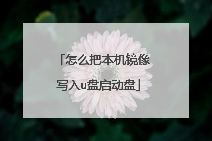 怎么把本机镜像写入u盘启动盘
