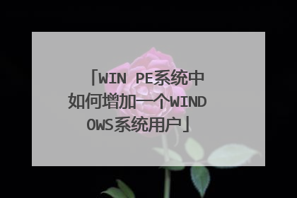 WIN PEϵͳ���������һ��WINDOWSϵͳ�û�