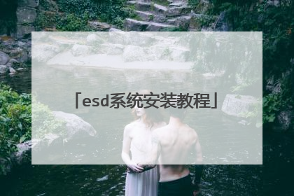 esdϵͳ��װ�̳�