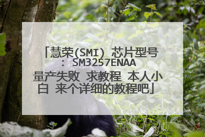 ����(SMI) оƬ�ͺ� : SM3257ENAA ����ʧ�� ��̳� ����С�� ������ϸ�Ľ̳̰�