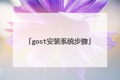 gost��װϵͳ����